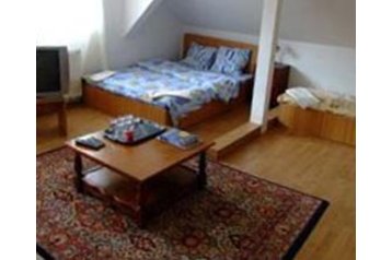 Rumunija Privát Răşinari, Eksterijer